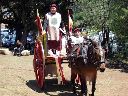 ACR Fals - festa medieval    